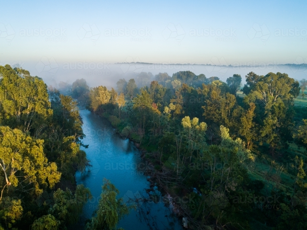 Aerial view over Hunter river in Australia with gum trees surrounded by fog at sunrise - Australian Stock Image