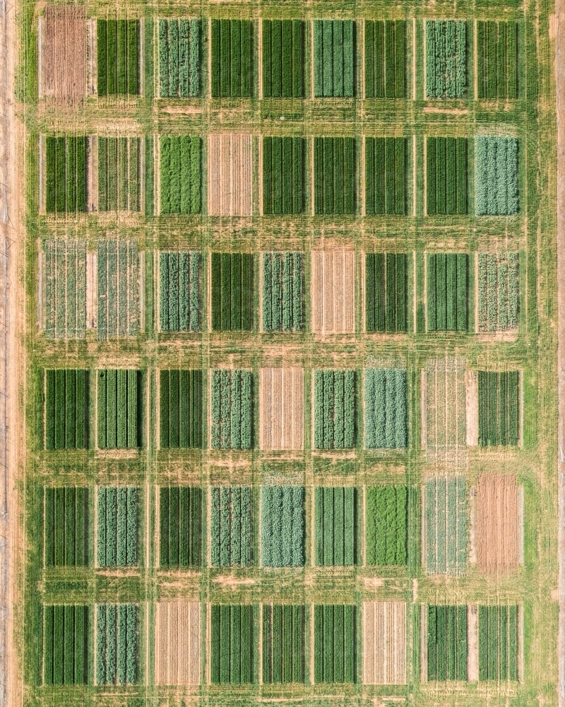 Aerial views of crop trials - Australian Stock Image