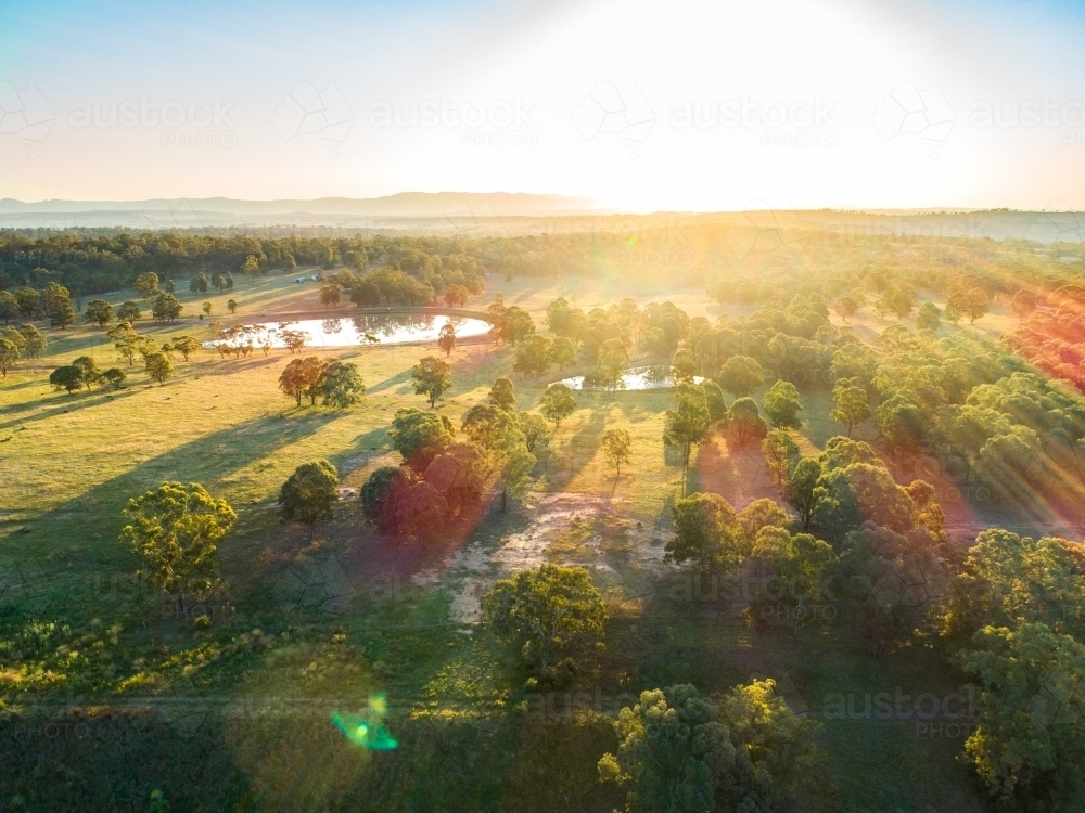 Afternoon sunlight over a paddock of trees with a dam in the distance - Australian Stock Image