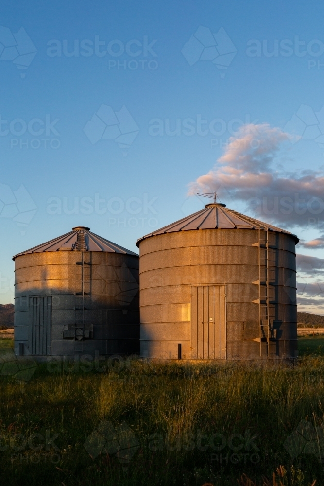 Image Of Agricultural Infrastructure On Farm Storage Pair Of Grain Silos Together On Farm At 0874