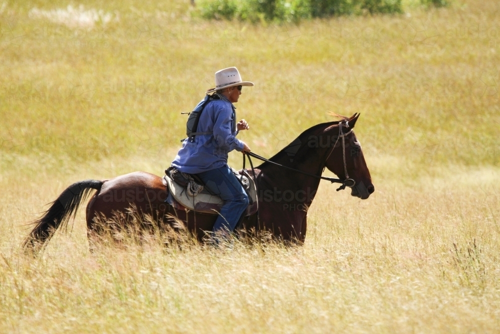 An aboriginal woman riding a horse in tall grass. - Australian Stock Image