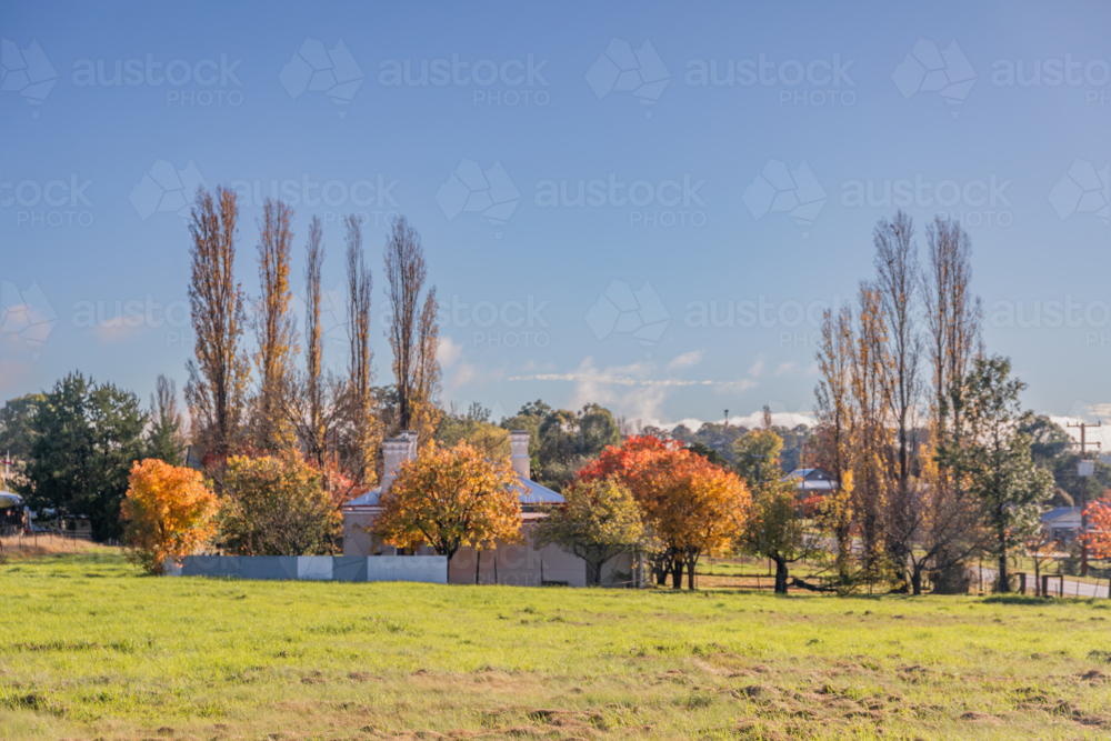An autumn scene in the country under a blue sky - Australian Stock Image