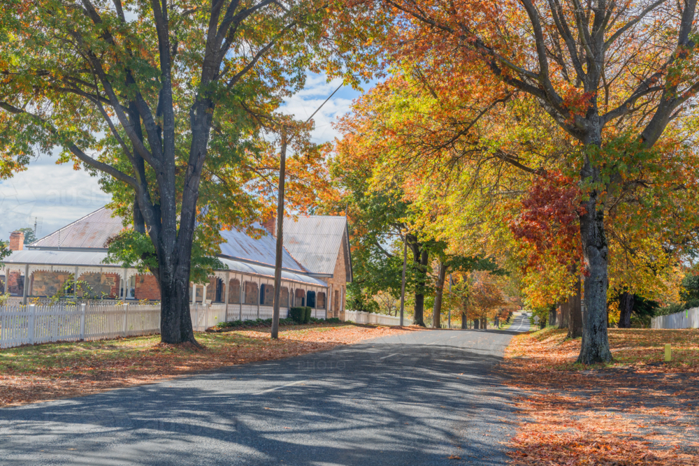 An autumn scene with autumn foliage, an avenue of trees and an old stone cottage - Australian Stock Image