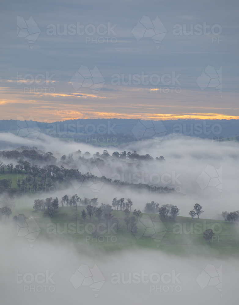 An early morning country scene underneath dawn skies with a low lying mist - Australian Stock Image