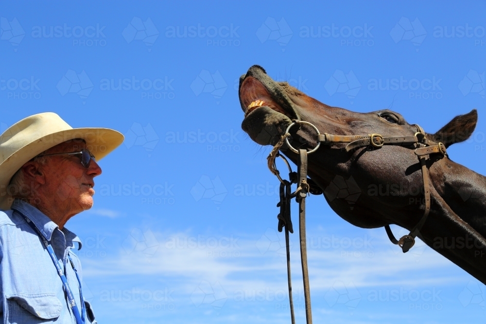 An elderly farmer enjoying his horse's apparent smiles and curled lips. - Australian Stock Image