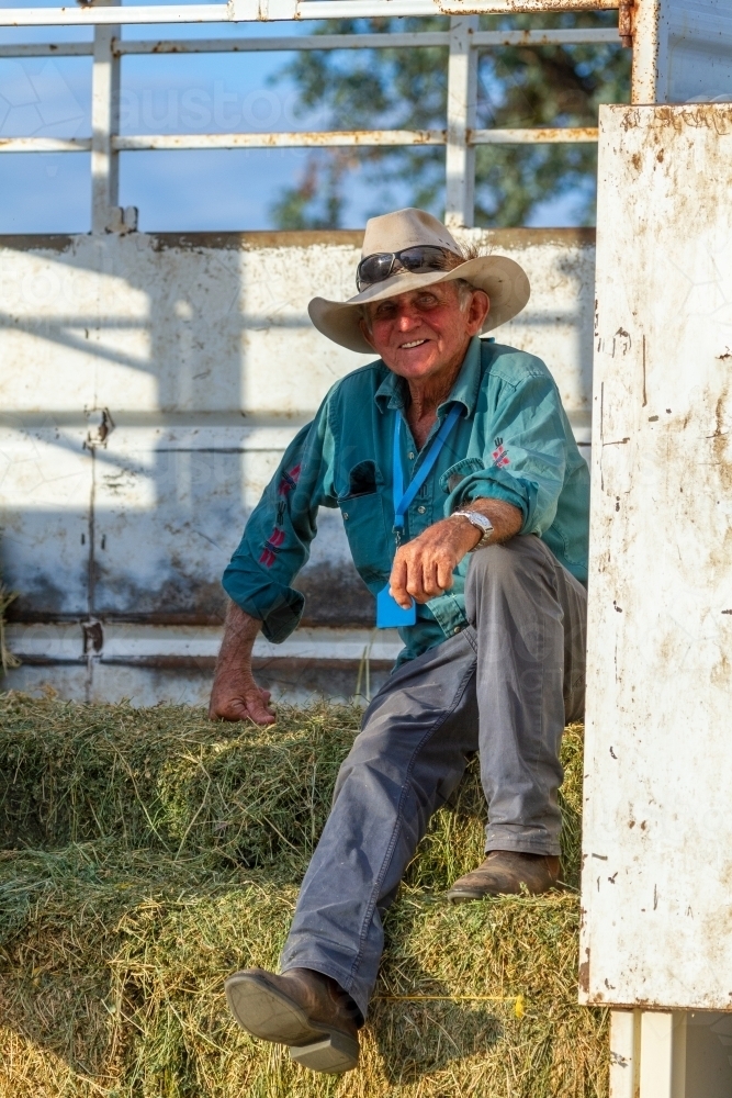 An elderly farmer sitting on hay bales in a cattle truck. - Australian Stock Image