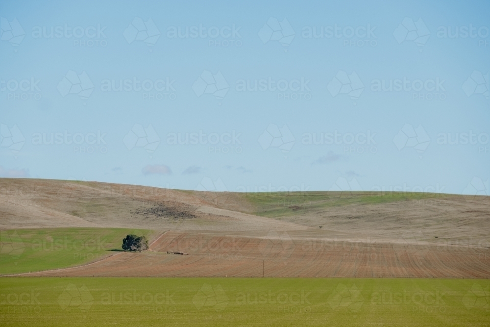 An empty farm paddock with hill background - Australian Stock Image