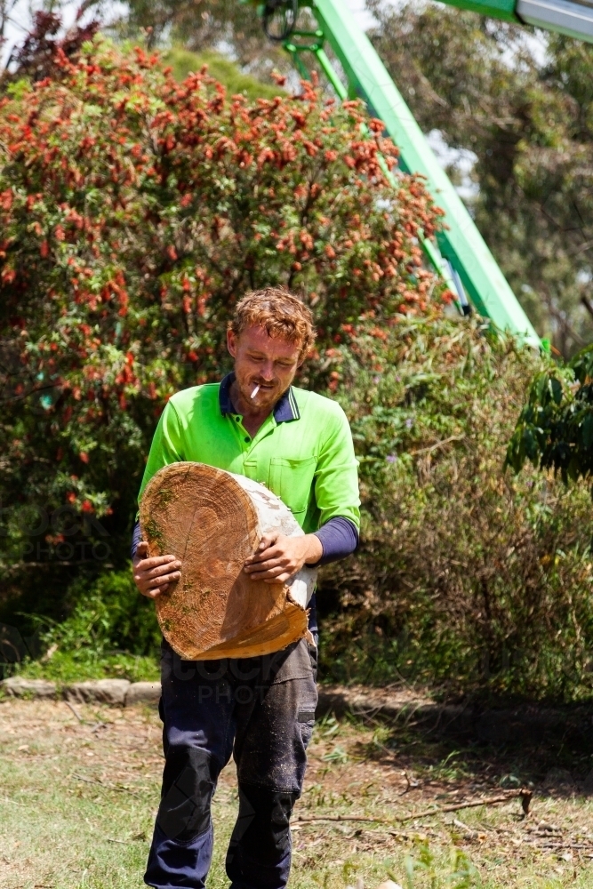 Arborist and workman felling tree and carrying logs of wood to pile - Australian Stock Image