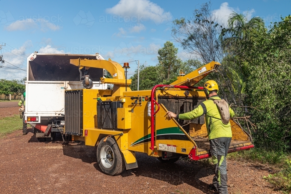 Arborist with wood chipper feeding branches through - Australian Stock Image