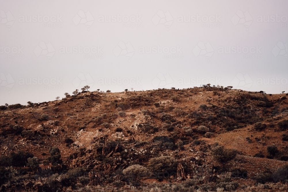 Image Of Arid Bush Of Broken Hill Austockphoto