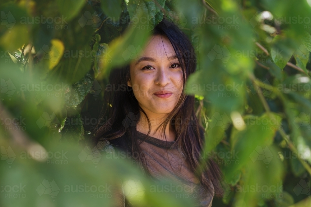 asian woman in the mulberry tree - Australian Stock Image