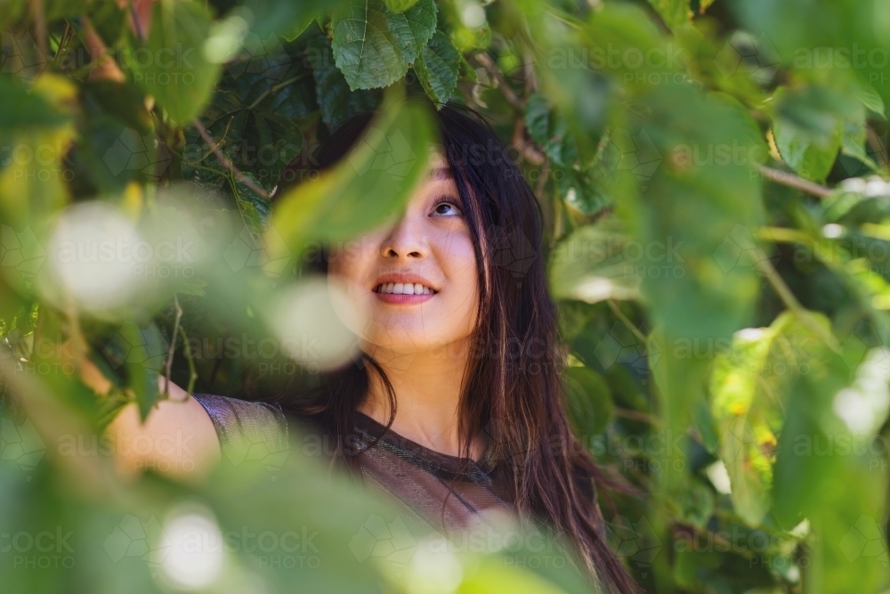 asian woman in the mulberry tree - Australian Stock Image