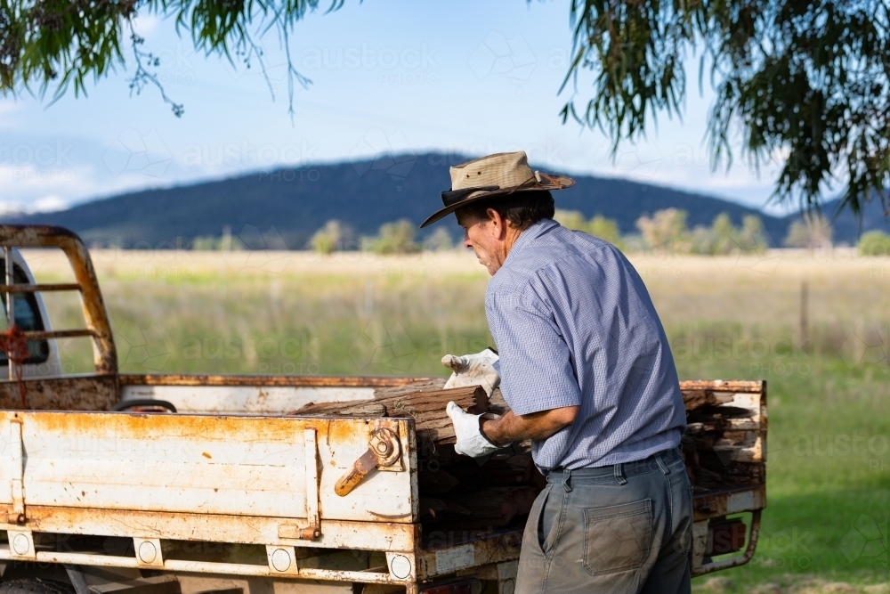 Aussie farmer unloading firewood from farm ute - Australian Stock Image