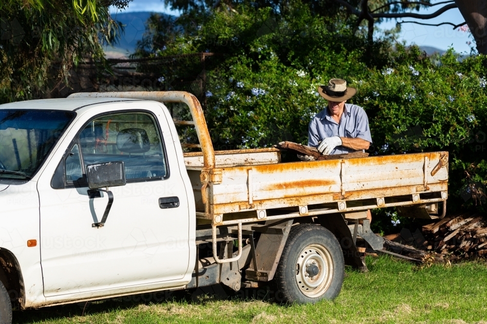 Aussie farmer unloading firewood from farm ute - Australian Stock Image