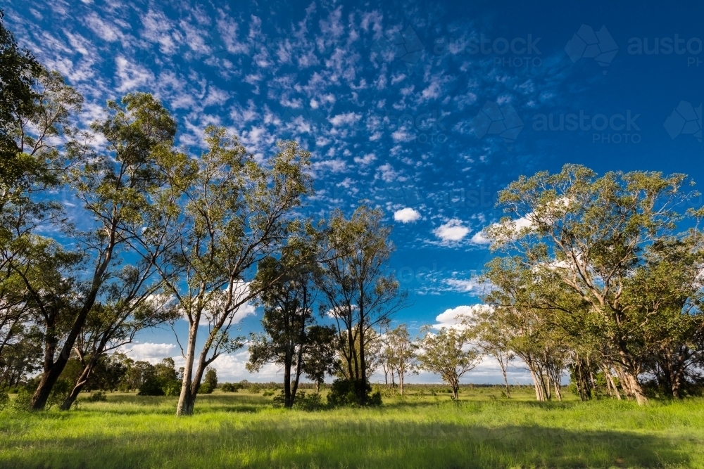 australian countryside - Australian Stock Image