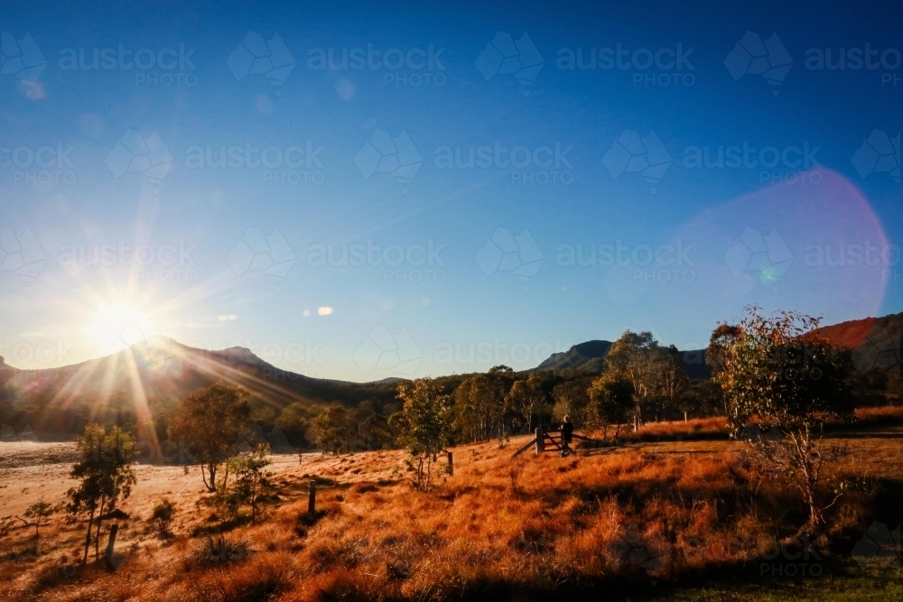 Australian desert landscape - Australian Stock Image