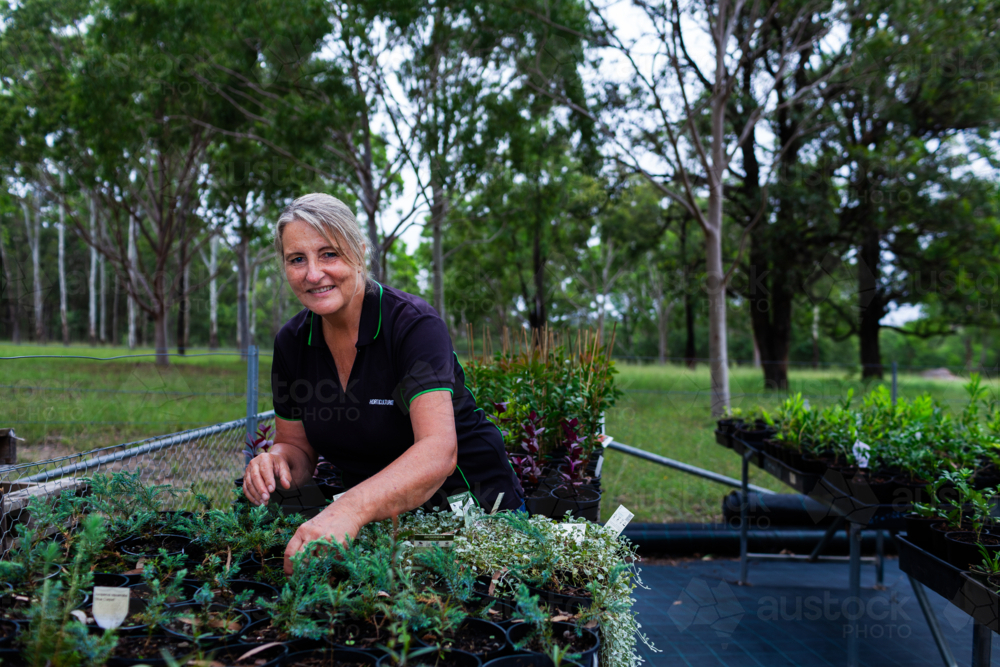 Australian female horticulturalist gardening in freshly potted seedling nursery garden - Australian Stock Image