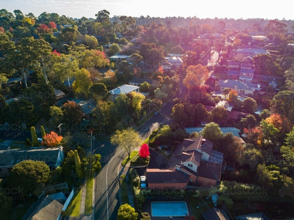 Australian homes nestled among gum trees beside street in outer Melbourne suburb - Australian Stock Image