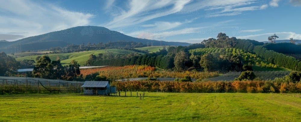 Autumn Farm Scene - Australian Stock Image