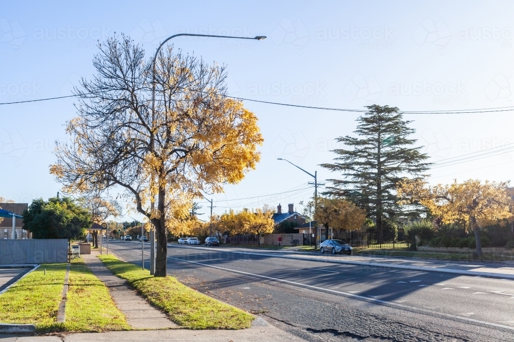 Autumn tree lined street in country town of Goulburn, NSW - Australian Stock Image