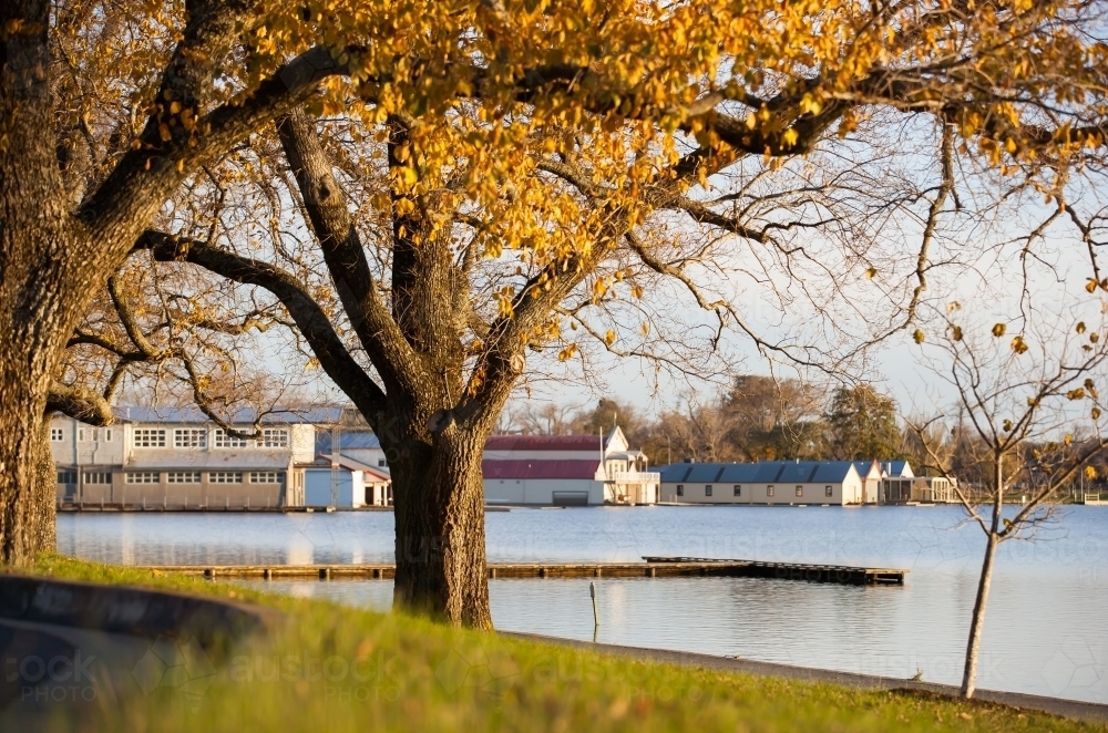 Autumn trees by the lake - Australian Stock Image