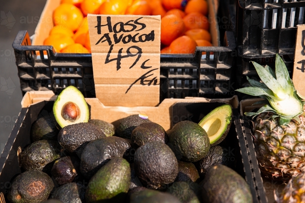 avocado for sale at the markets - Australian Stock Image