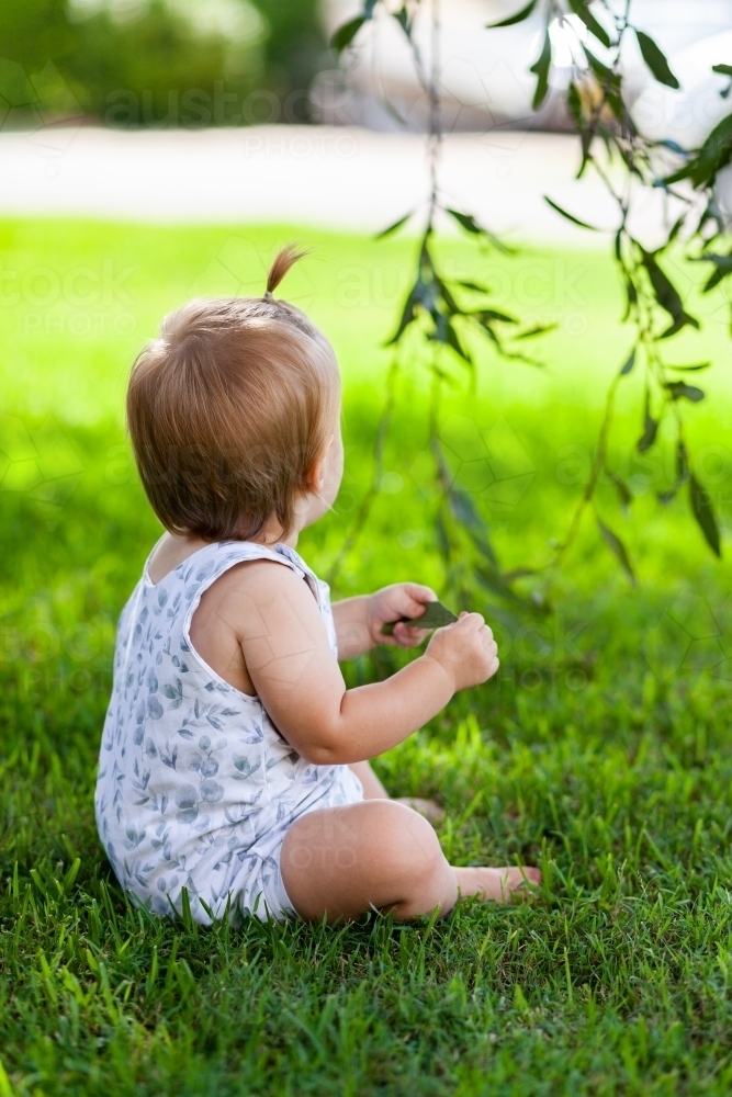 Baby with fountain hairstyle on grass playing with hanging mistletoe leaves - Australian Stock Image