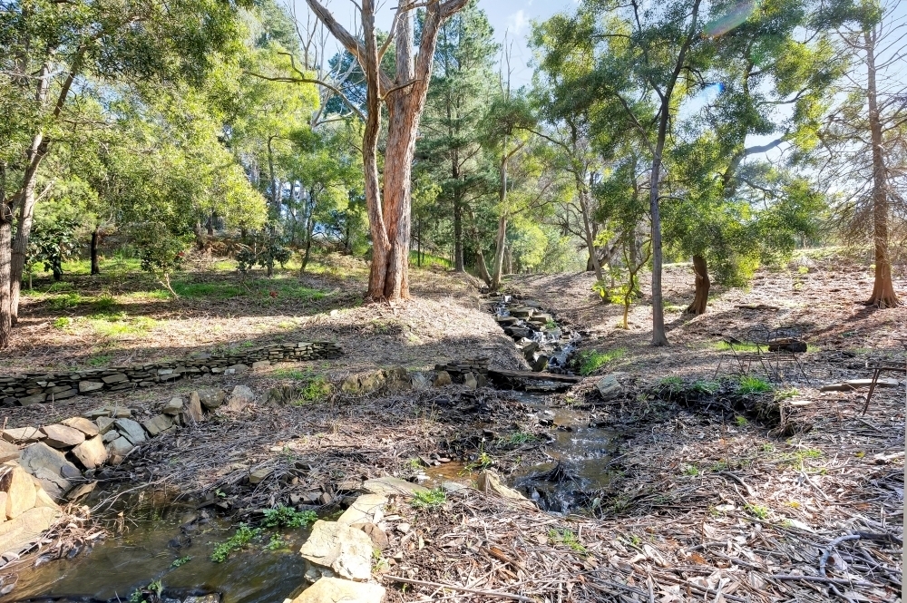 Image of Backyard creek scenery landscape - Austockphoto