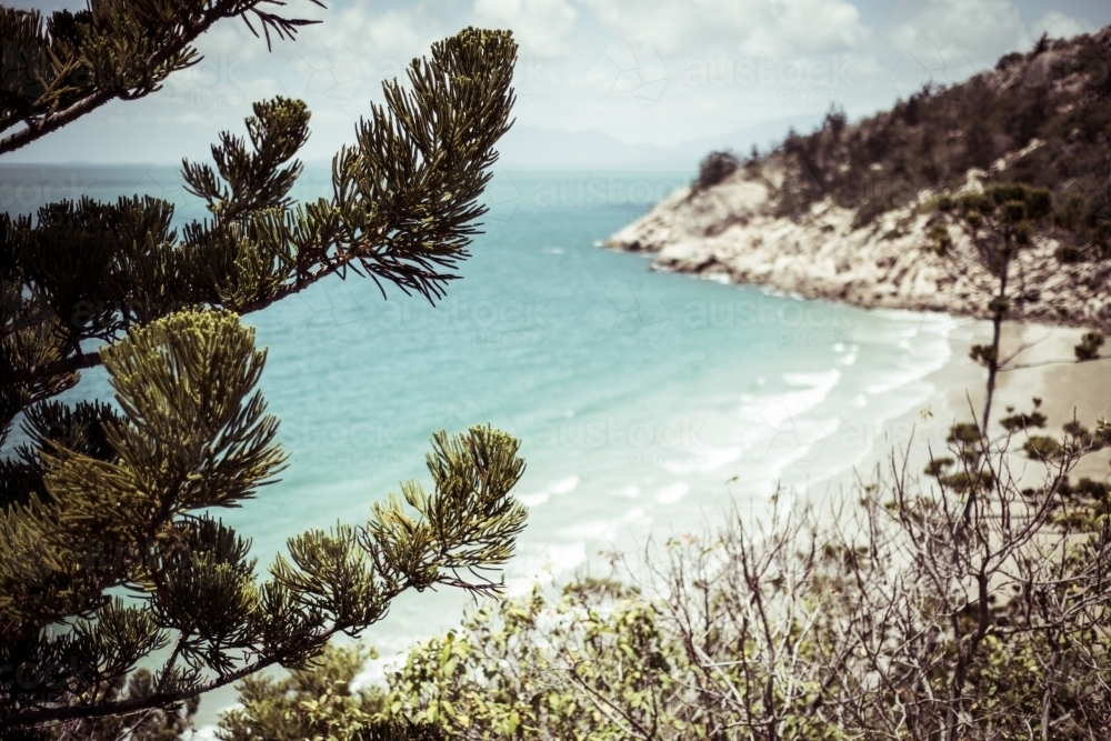 Beach coastal view from a hillside covered with shrubs and trees - Australian Stock Image