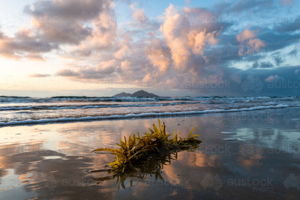 Beach scene at sunrise with waves and seaweed - Australian Stock Image