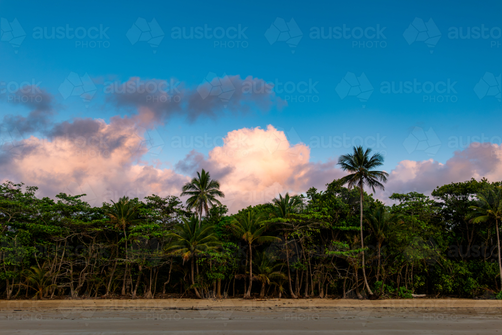 Beach scene at sunset with palm trees and clouds - Australian Stock Image