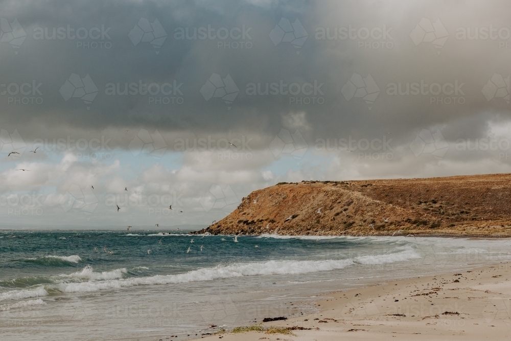 Beach with cliffs with a stormy sky and birds flying - Australian Stock Image