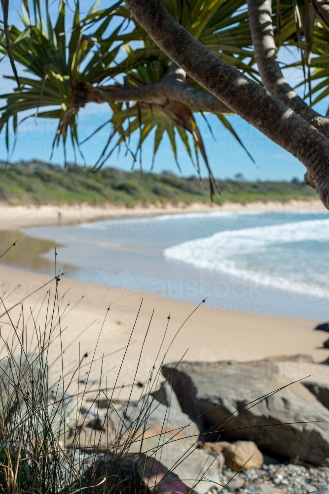 Beach with trees and big rocks - Australian Stock Image