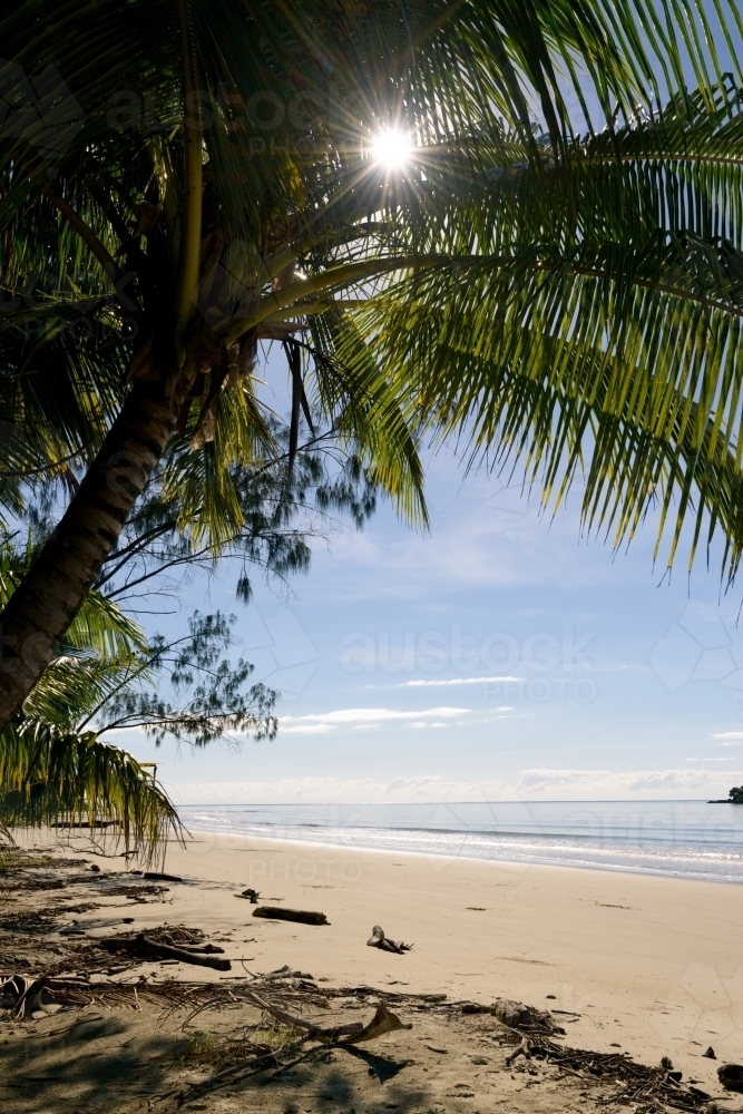 Beautiful tropical beach scene with palm tree, blue sky and sunburst - Australian Stock Image