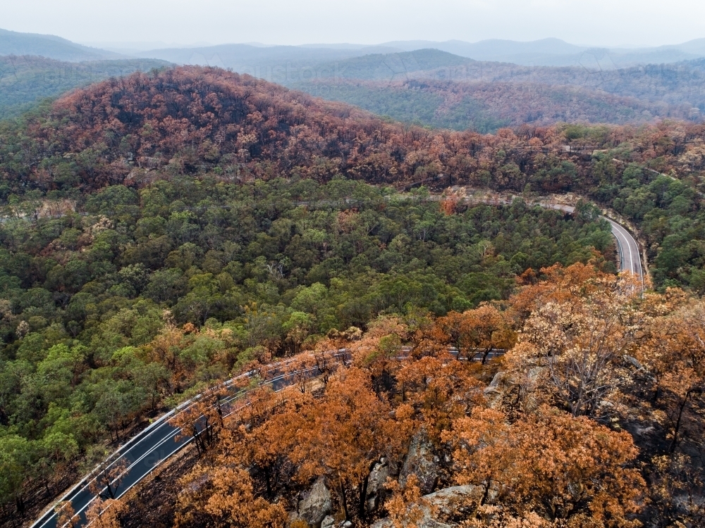 Bend in mountain road with burnt trees along the ridge lines after bushfire - Australian Stock Image