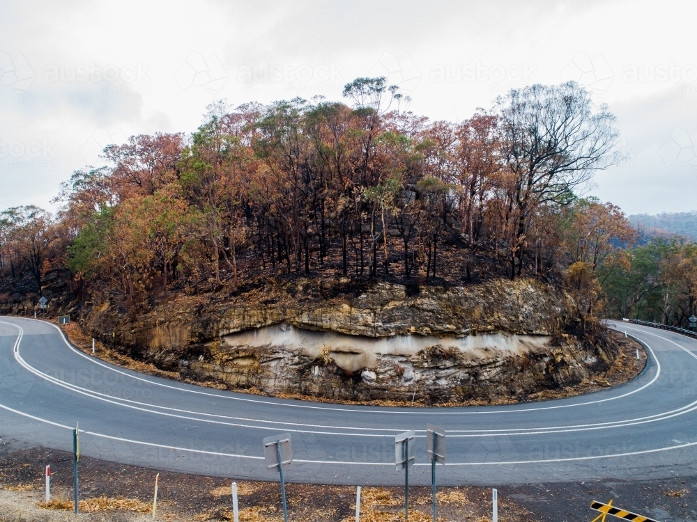 Bend in Putty road with burnt trees after a bushfire - Australian Stock Image