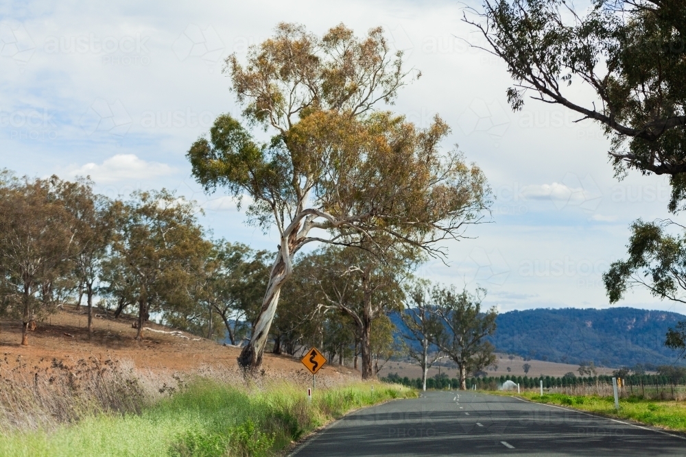 bendy road ahead sign beside rural country road - Australian Stock Image