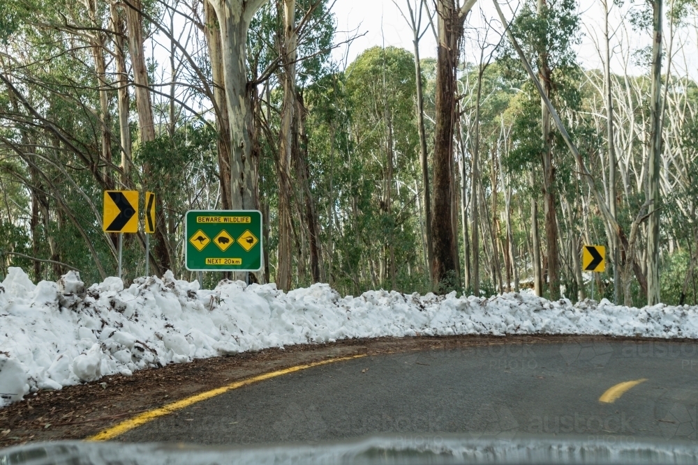 beware wildlife sign feature kangaroo, wombat and lyre bird - Australian Stock Image