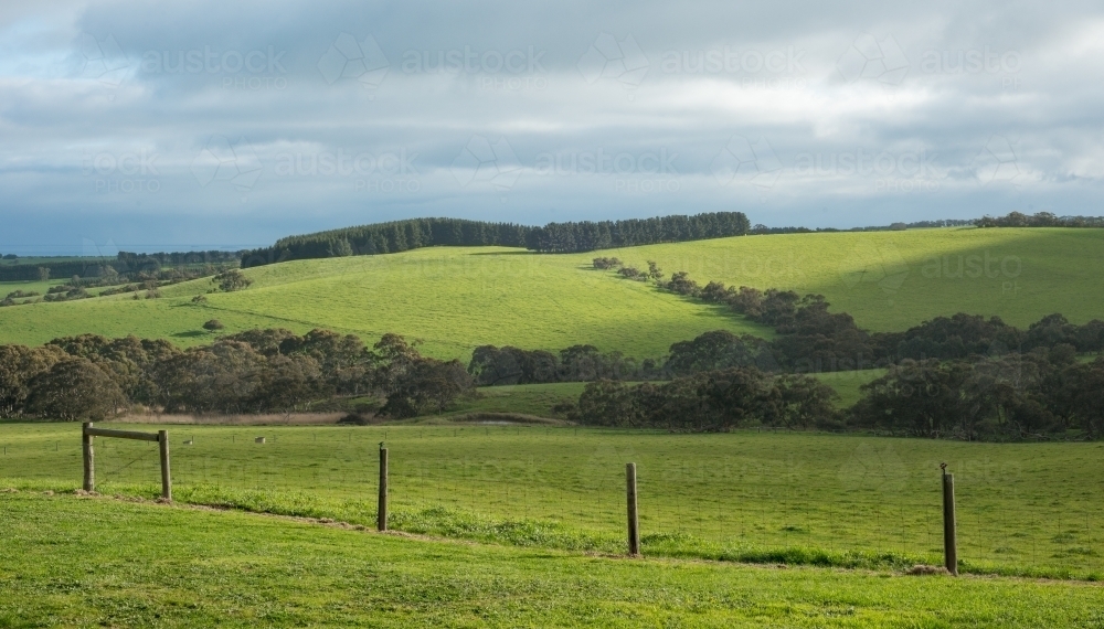 Big green field - Australian Stock Image