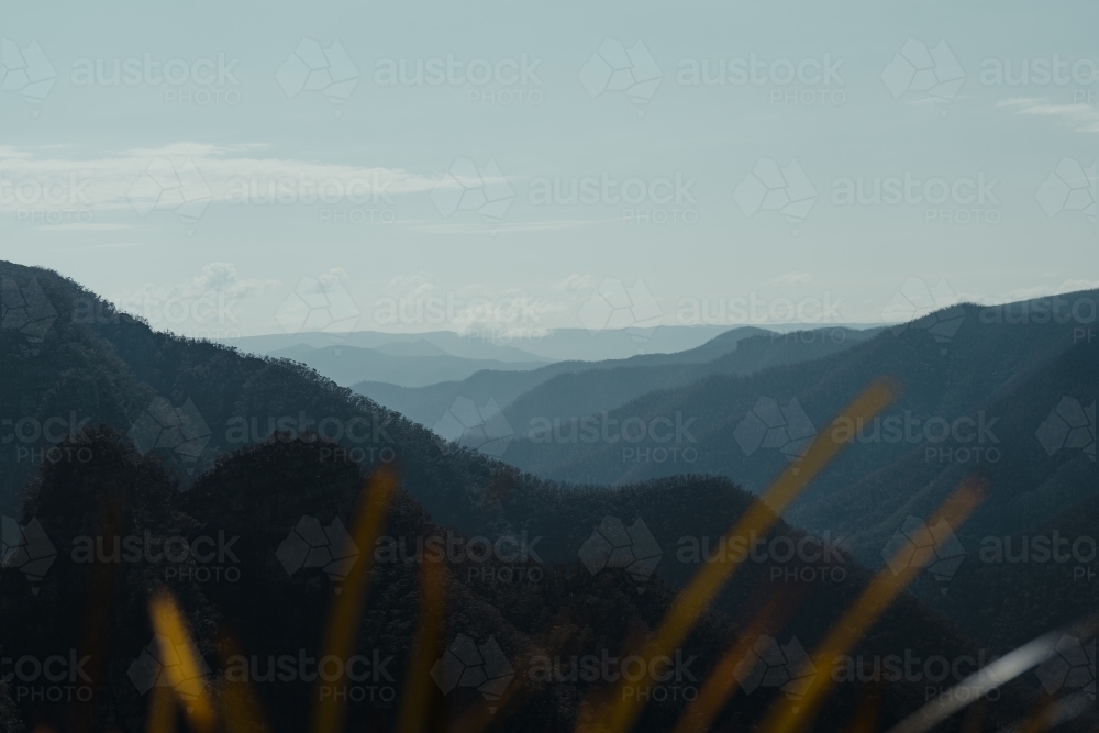 Blue mountain layers through the valley at Kanangra Walls Lookout on a sunny day - Australian Stock Image