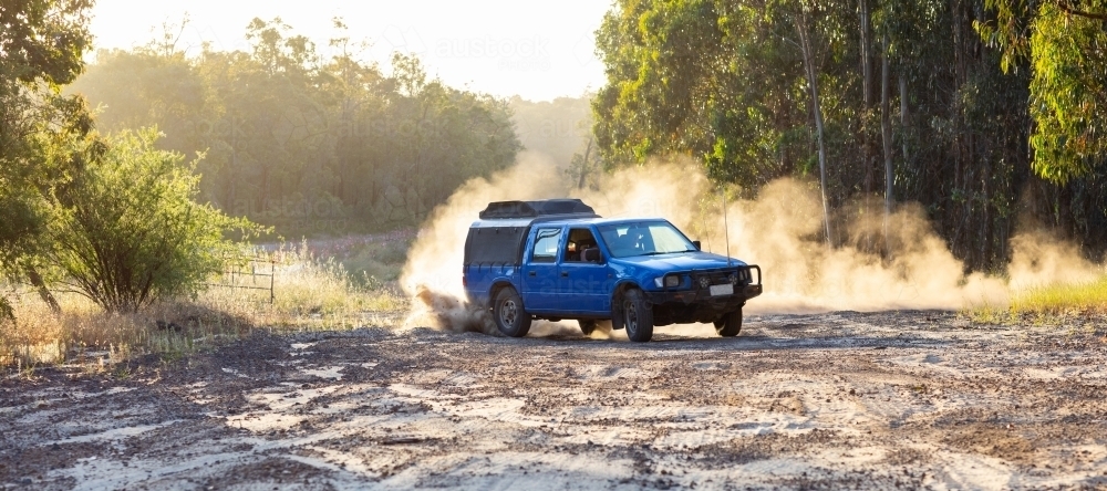 blue ute causing dust driving on dirt near forest - Australian Stock Image