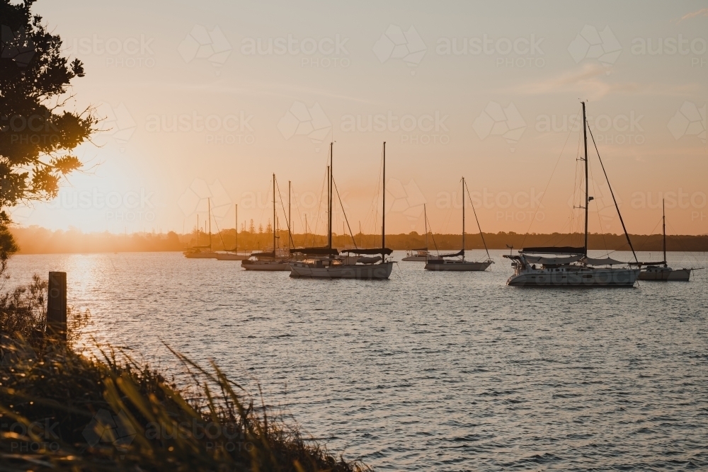 Boats and yachts sitting on the river at sunset near the Yamba Marina on the Clarence River. - Australian Stock Image