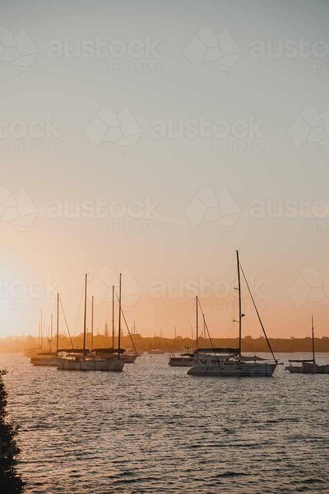 Boats and yachts sitting on the river at sunset near the Yamba Marina on the Clarence River. - Australian Stock Image