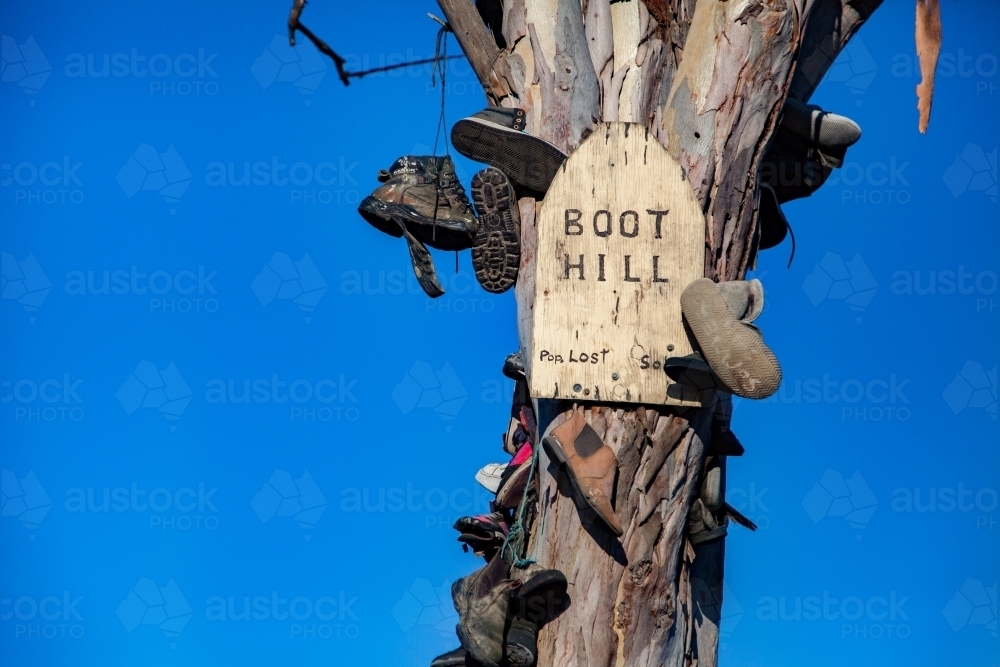 Boots and shoes hanging on tree on boot hill - Australian Stock Image