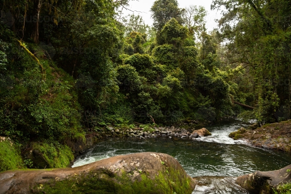 Image of Boulders and pool of water along river in green forest ...