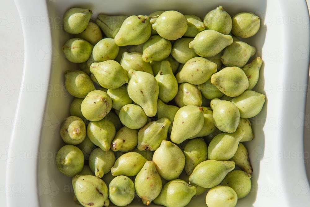 Bowl of Kakadu Plums - Australian Stock Image