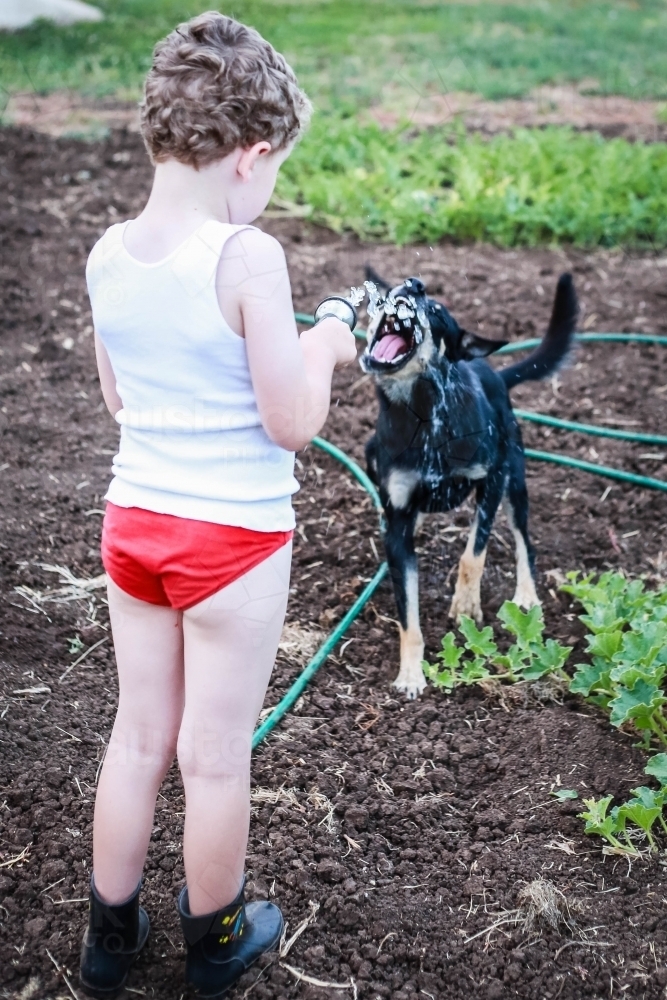 Boy and dog with hose - Australian Stock Image