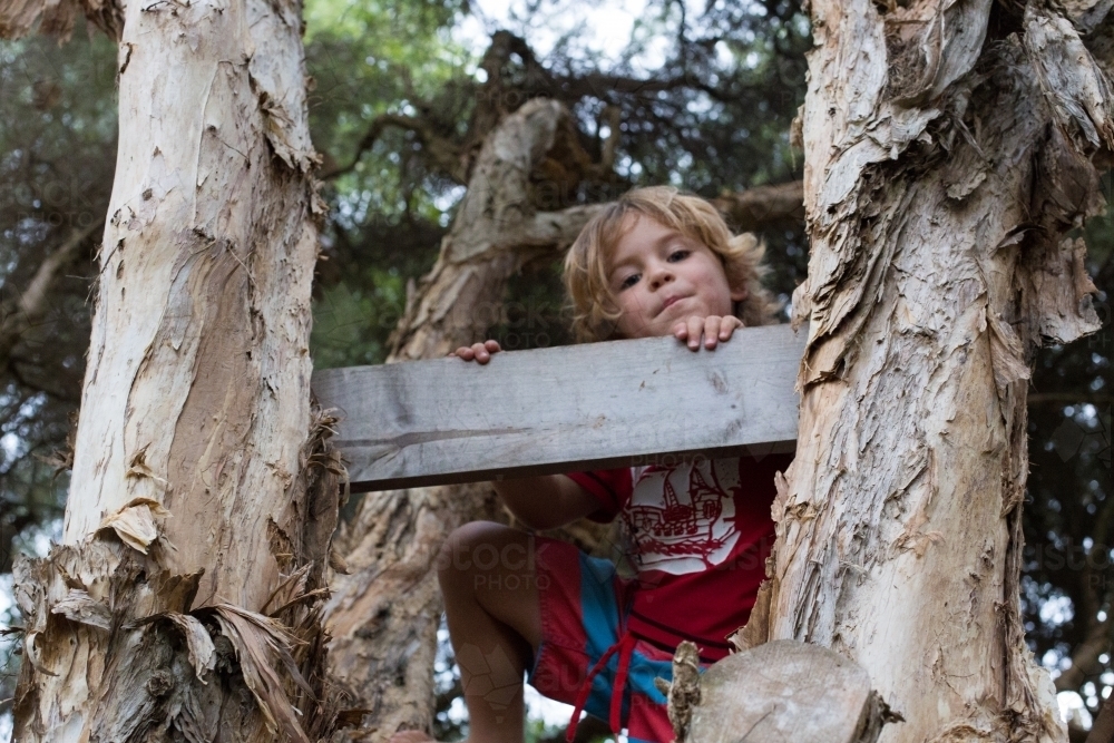 Boy in tree house - Australian Stock Image