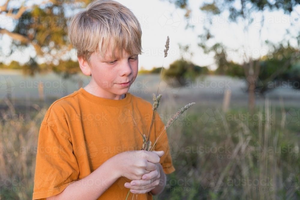 Boy on farm picking weeds - Australian Stock Image