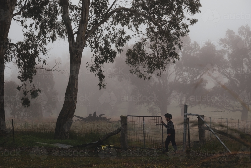 Boy opening gate on rural property on misty winter morning with large trees in background - Australian Stock Image
